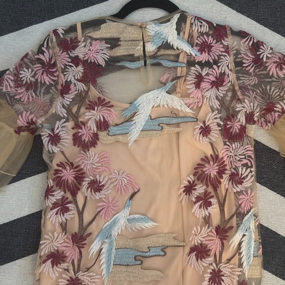 ASOS - Embroidered Dress with Frill Sleeves - Picture 4 of 5